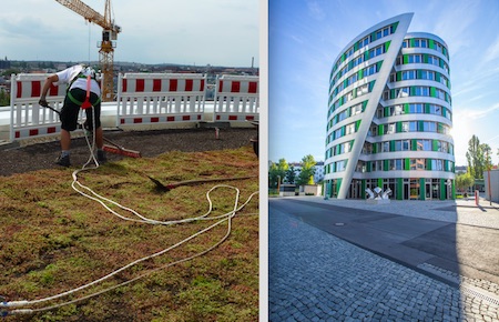 Une toiture inversée végétalisée pour les bâtiments administratifs du Campus EUREF à Berlin